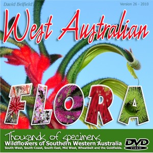 This DVD is available now and covers Wildflowers of the entire southern half of Western Australia