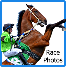 AtoZ-Visual Horse Race Photography